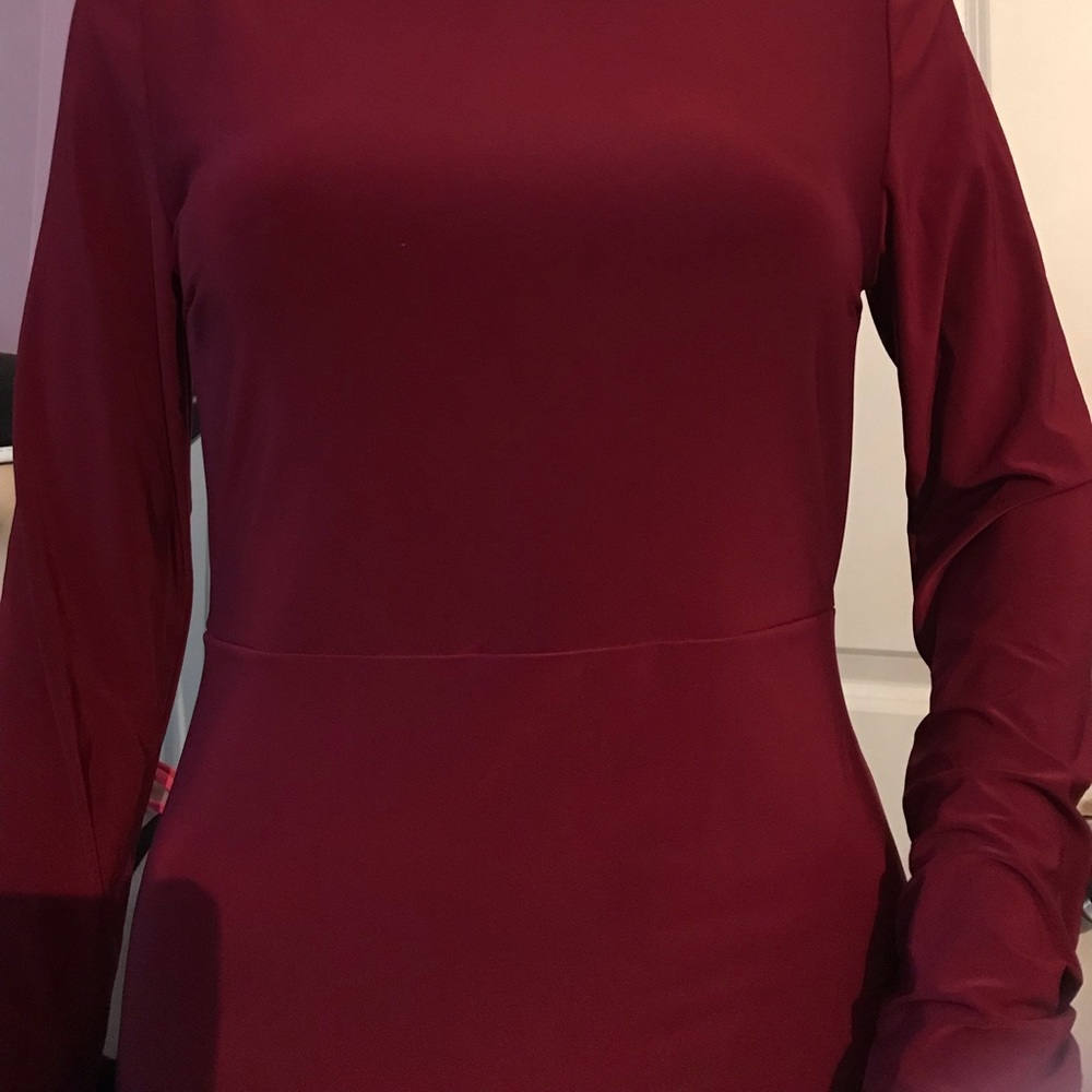 Style Rack Red Dress - Picture 4 of 11